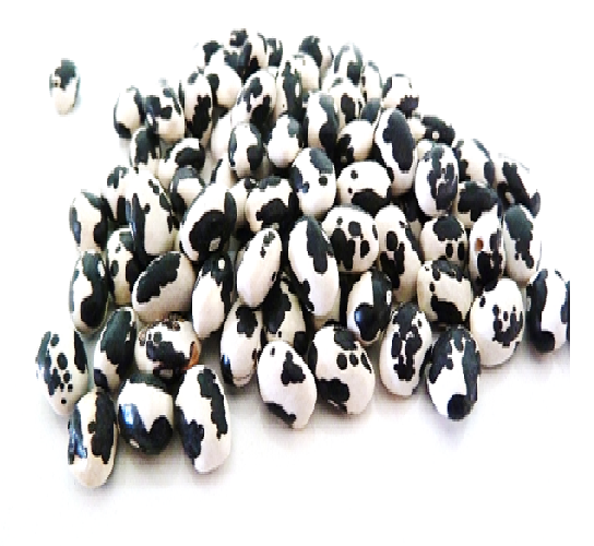 Frijol Vaquita Negro