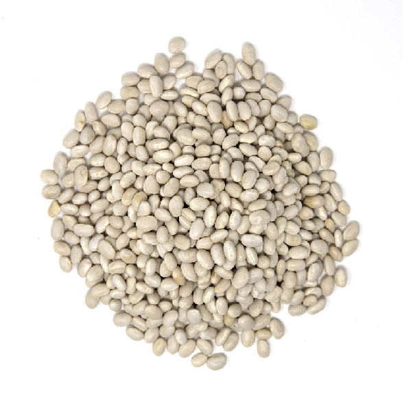 Frijol Alubia Blanca Chica