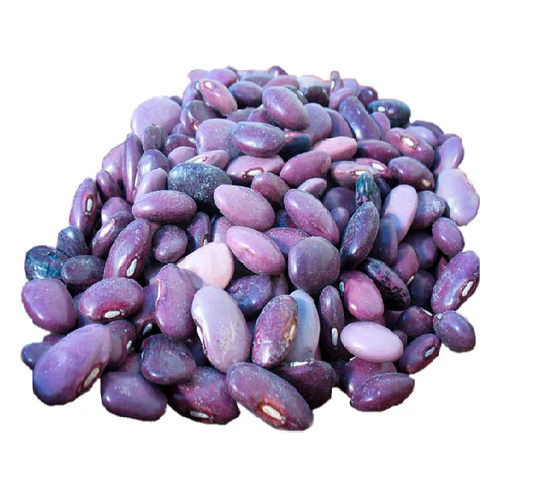 Frijol Ayocote Morado