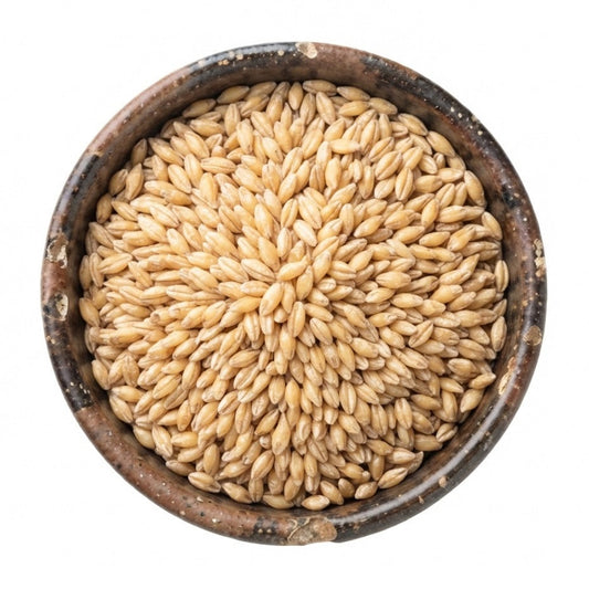Semilla de Cebada