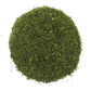 Hoja de Eneldo Deshidratada