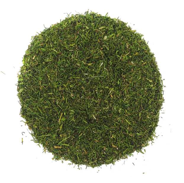 Hoja de Eneldo Deshidratada