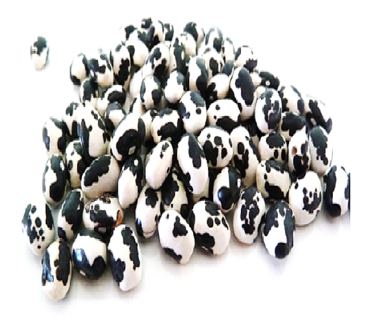 Frijol Vaquita Negro