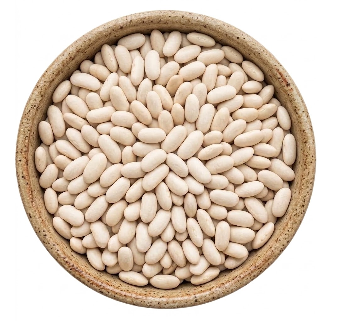 Frijol Alubia Blanca Grande