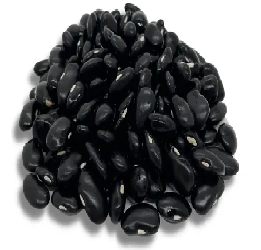 Frijol Ayocote Negro