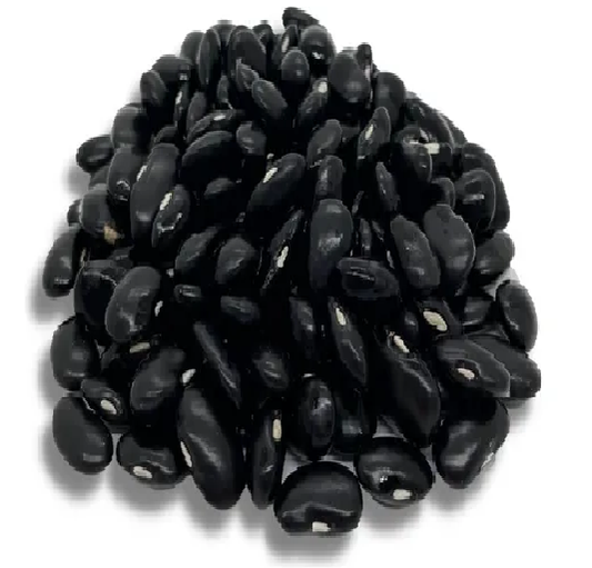 Frijol Ayocote Negro