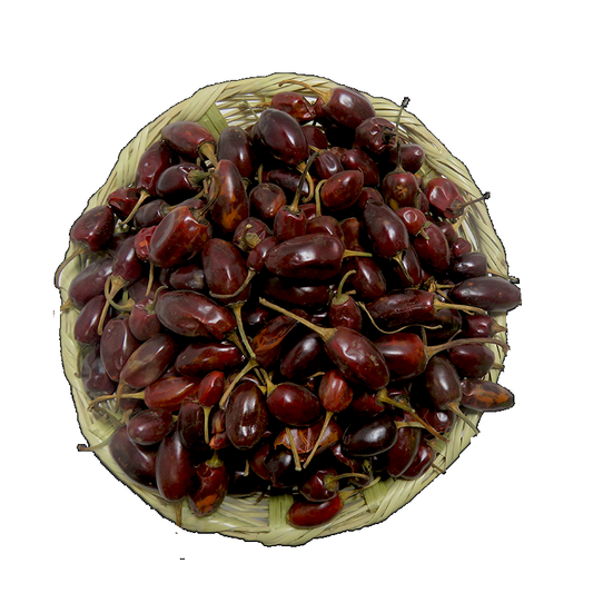 Chile Catarina