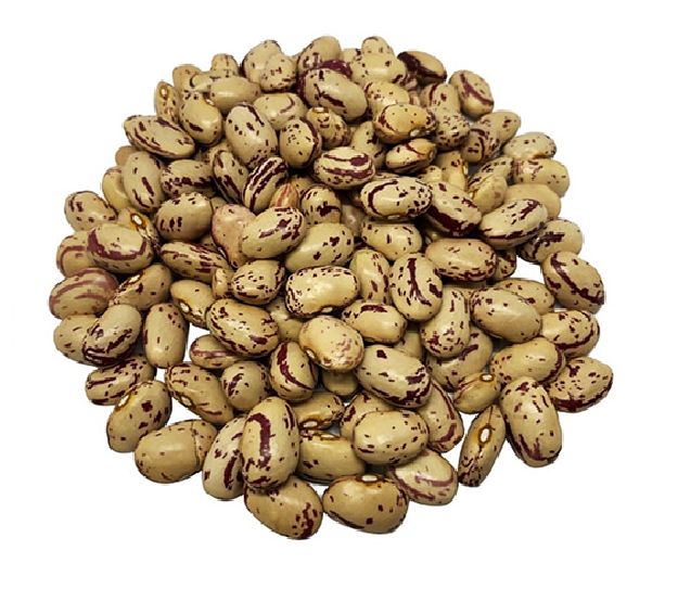 Frijol Cacahuate
