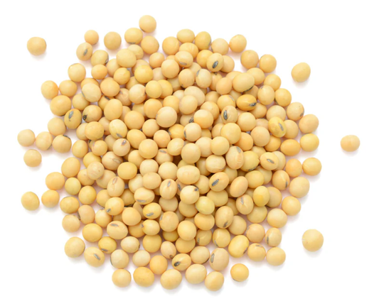 Frijol de Soya