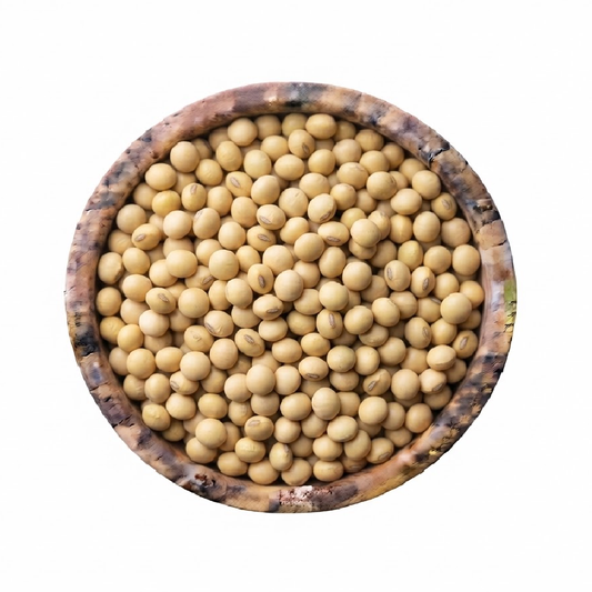 Frijol de Soya