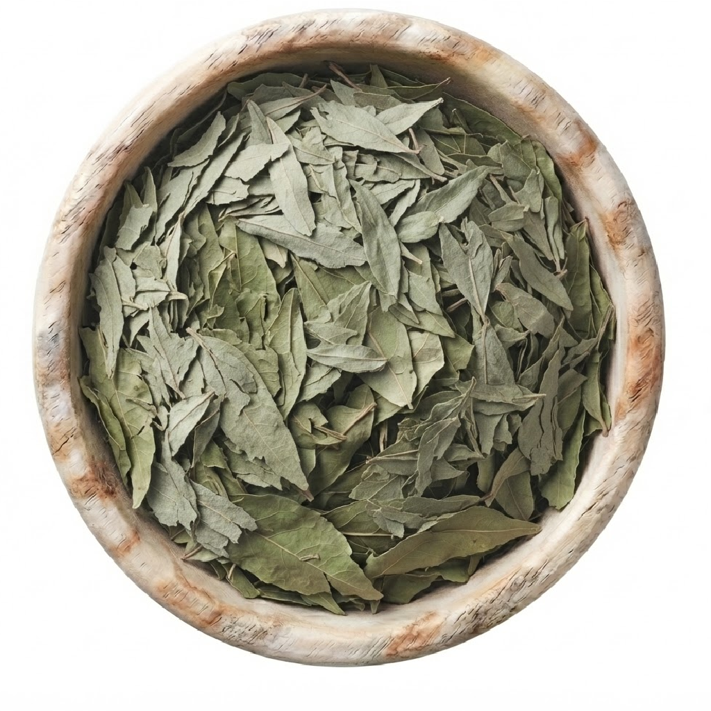 Hoja Sen