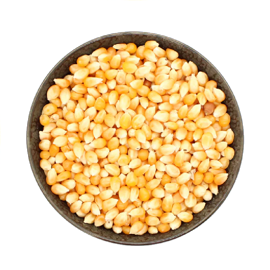 Maíz Hongo Palomero Jumbo