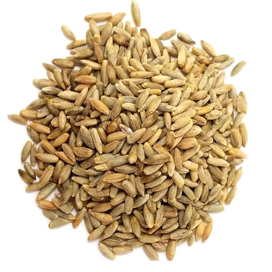 Semilla De Centeno