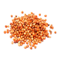 Semilla de Sorgo Rojo