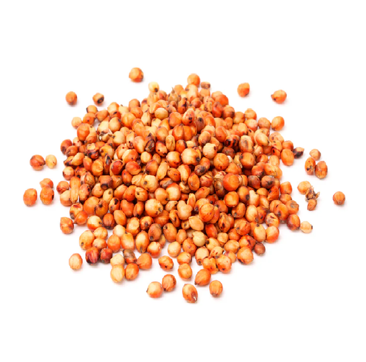 Semilla de Sorgo Rojo