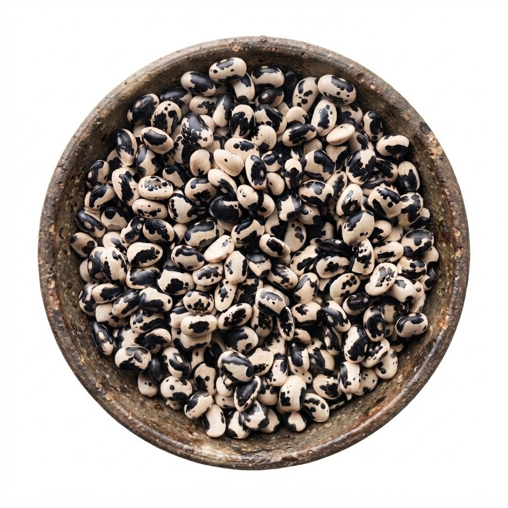 Frijol Vaquita Negro