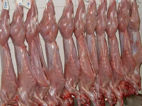 3-3.5 Kg 2 Conejos Enteros Crudos