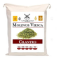 Hoja De Cilantro en Polvo